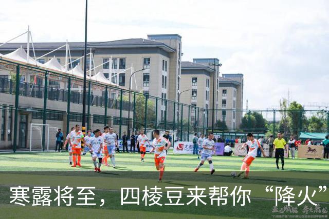 寒露将至，四棱豆来帮你“降火”！